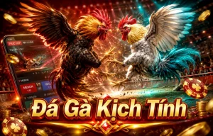 Sảnh Đá Gà Chanzchebelle